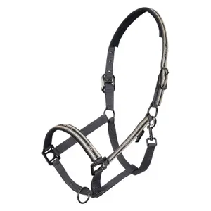 Halter for horse HV Polo Ashley image-0