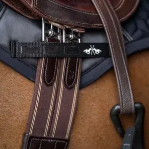 Ιμάντας χελιδόνι για ιππασία HV Polo Legacy image-0