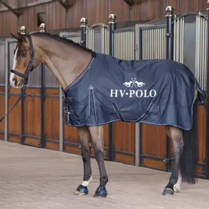 Manta de exterior para caballos HV Polo Essential 0g image-2