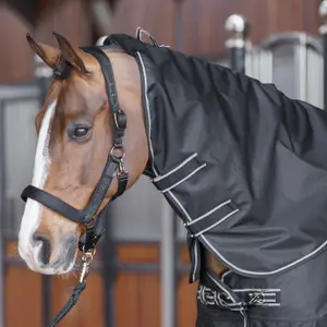 Couvre-cou pour cheval HV Polo Essential 0g image-2