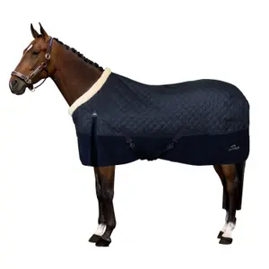 Coperta da stalla per cavalli HV Polo Francis image-0