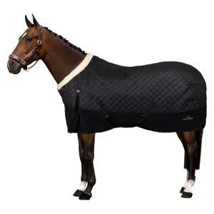 Coperta da stalla per cavalli HV Polo Francis image-1