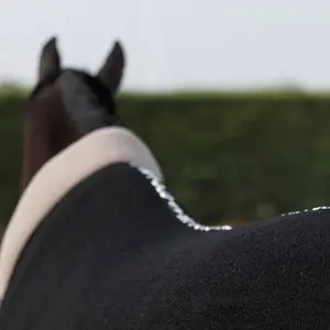 Manta de lã para cavalos HV Polo Hyder 300g image-2