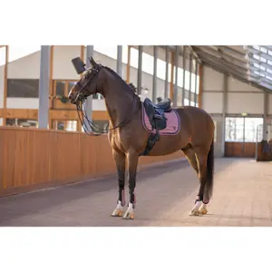 Guêtres pour cheval et protège boulet HV Polo Franka image-5