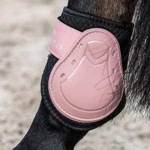 Protège-boulets et tendons pour cheval HV Polo Classic image-1