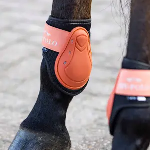 Chrániče na šlachy a šlachy pro koně HV Polo Classic image-1