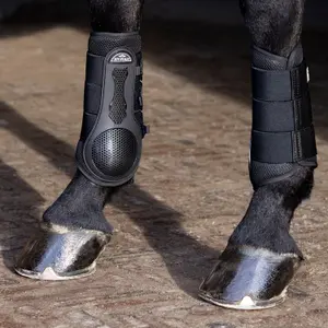 Geschlossene Vordergamaschen für Pferde HV Polo Pro Hive image-1