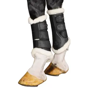 Tendon protector for horses HV Polo Flo image-0