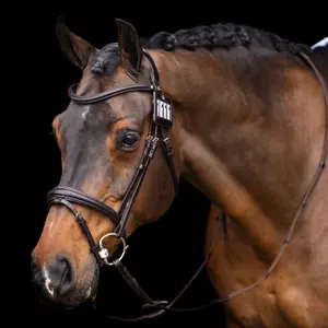 Αριθμοκάρτα ιππασίας HV Polo Legacy image-1