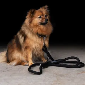 Κολάρο για σκύλο HV Polo Franka Rope image-1