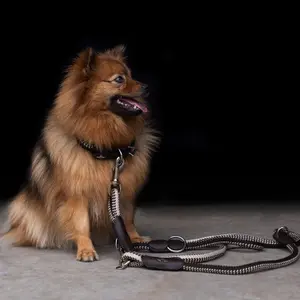 Κολάρο για σκύλο HV Polo Franka Rope image-1