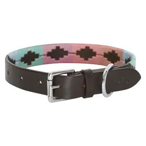 Dog collar HV Polo Chaya image-0