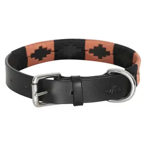 Collier pour chien HV Polo Chaya image-0