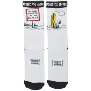 Sokken Hydroponic x Peanuts No Dogs image-1