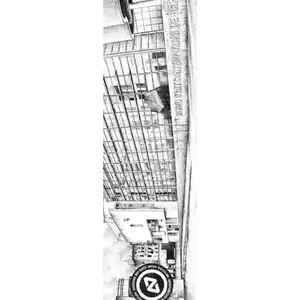 Λάστιχο για σκέιτμπορντ Hydroponic Spot Series image-0