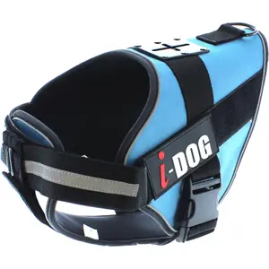 Dog harness I-DOG NeoCAM