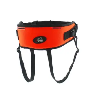 i12lo-sele-i-dog-one-light-orange-svart-tu