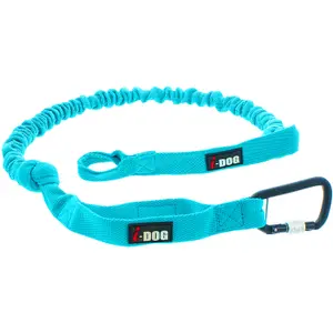 i21bmedium-canicross-bly-i-dog-opale-bla