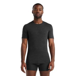 ib1030330021-kurzarm-t-shirt-icebreaker-anatomica-crewe-dunkelgrau