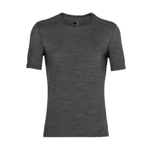 ib1045090131-t-shirt-icebreaker-oasis-crewe-200-grau