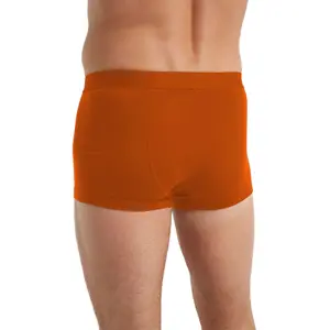 Boxer Icebreaker anatomica cool lite trunks image-2