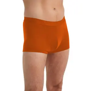 Boxer Icebreaker anatomica cool lite trunks image-1