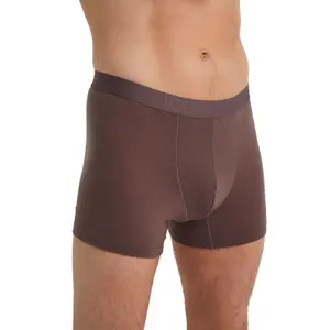 Boxer Icebreaker anatomica cool lite image-1