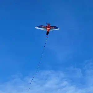 Hummingbird kite Icare Distribution Monofil image-1