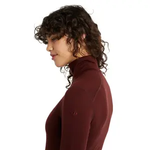 T-shirt manches longues demi-zip femme Icebreaker 260 tech image-4