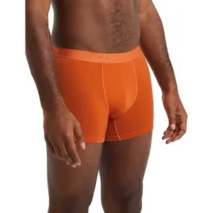 Boxer Icebreaker anatomica cool lite image-1