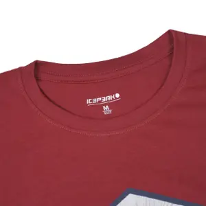 T-shirt Icepeak Mocbach image-3