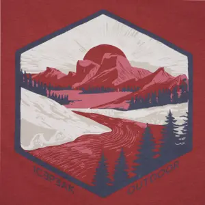 T-shirt Icepeak Mocbach image-5