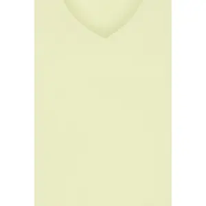 T-shirt col V femme Ichi Palmer image-2