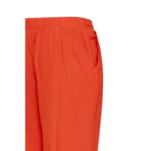 Women's Trousers Ichi IHLifana image-5