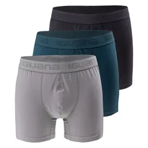 Boxer shorts Iguana Presto (x3) image-0