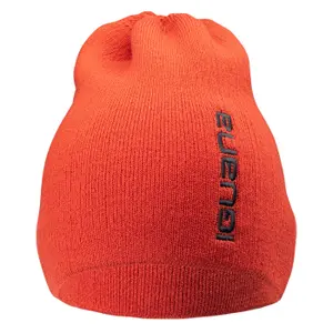 Beanie Iguana Aspar image-0
