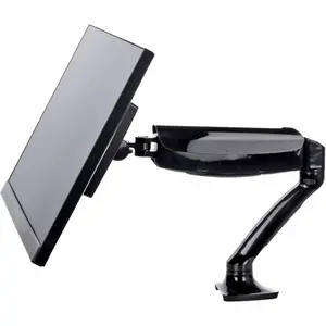 Support écran flexible simple Iiyama DS3001C-B1