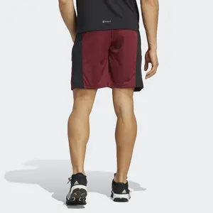 Pantalón corto adidas Camo Essentials Seasonal image-2