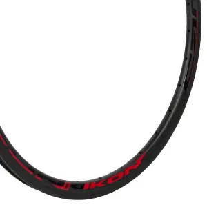 Jante traseira Ikon 28 H image-2