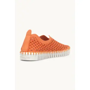 Mocassins Emblemáticos Mulher Ilse Jacobsen Hornbæk Tulip image-1