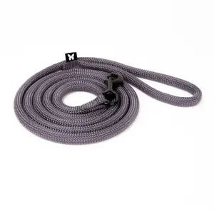 Striped Dog Lead Image image-0