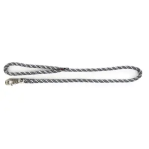 Striped Dog Lead Image image-0