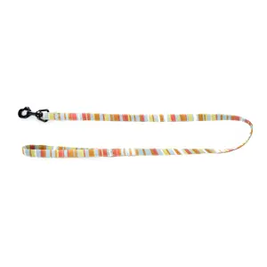 Striped Dog Lead Image image-0