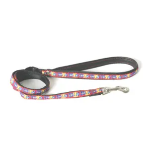 Nylon dog leash Image Bowxy image-0