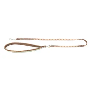 Dog leash Image Baya image-0
