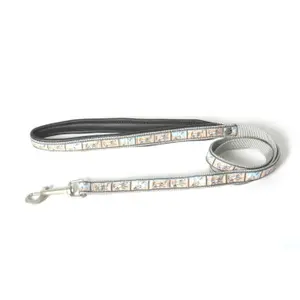 Nylon dog leash Image Olivier image-0