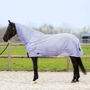 Couverture anti-mouches pour cheval Imperial Riding Reese image-1