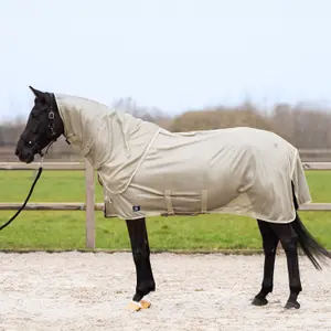 Couverture anti-mouches pour cheval Imperial Riding Reese image-1