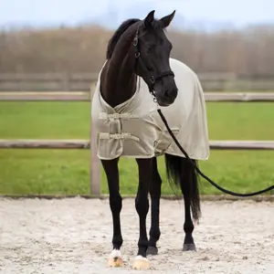 Couverture anti-mouches pour cheval Imperial Riding Reese image-6