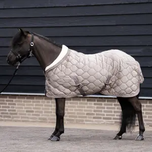 Derka stajenna dla koni Imperial Riding Bandit 0g image-2